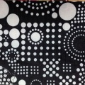 fs0055
